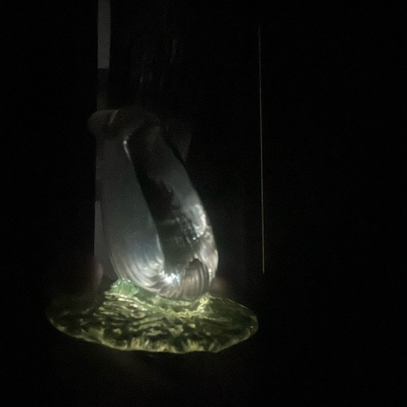 Elegant Clear Glass Horn Vase with vaseline uranium glass - Picture 11 of 12